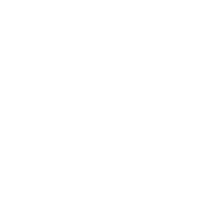 Punjab United badge